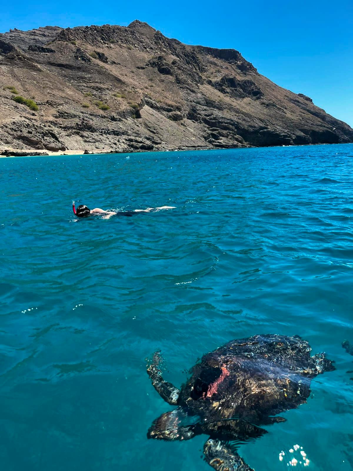 Only unforgettable adventures!