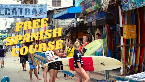 Voluntariado y Viaja al Extranjero Surf & Help - Marine Wildlife Conservation