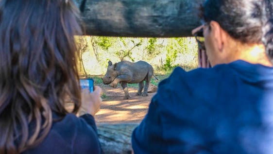 Volunteer with animals abroad Rhino & Elephant Conservation