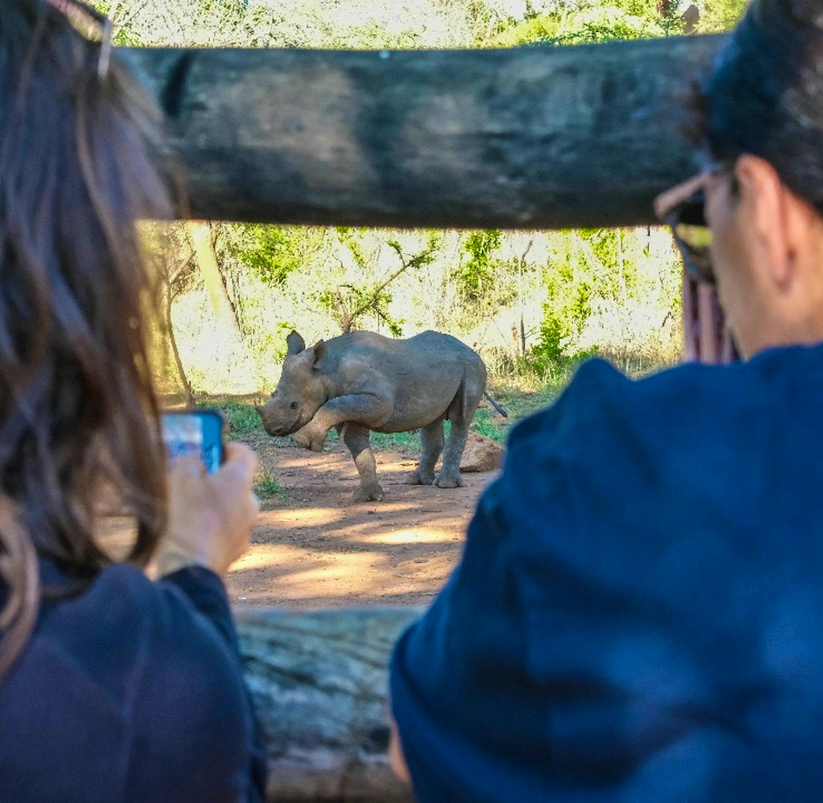 Rhino & Elephant Conservation | Volunteer in Zimbabwe 2024