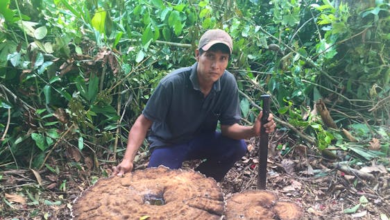 Mycologist in Bolivian Amazon