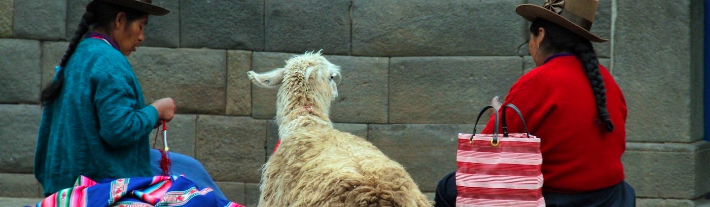 Volunteer In Cusco Top 10 Projects 2020