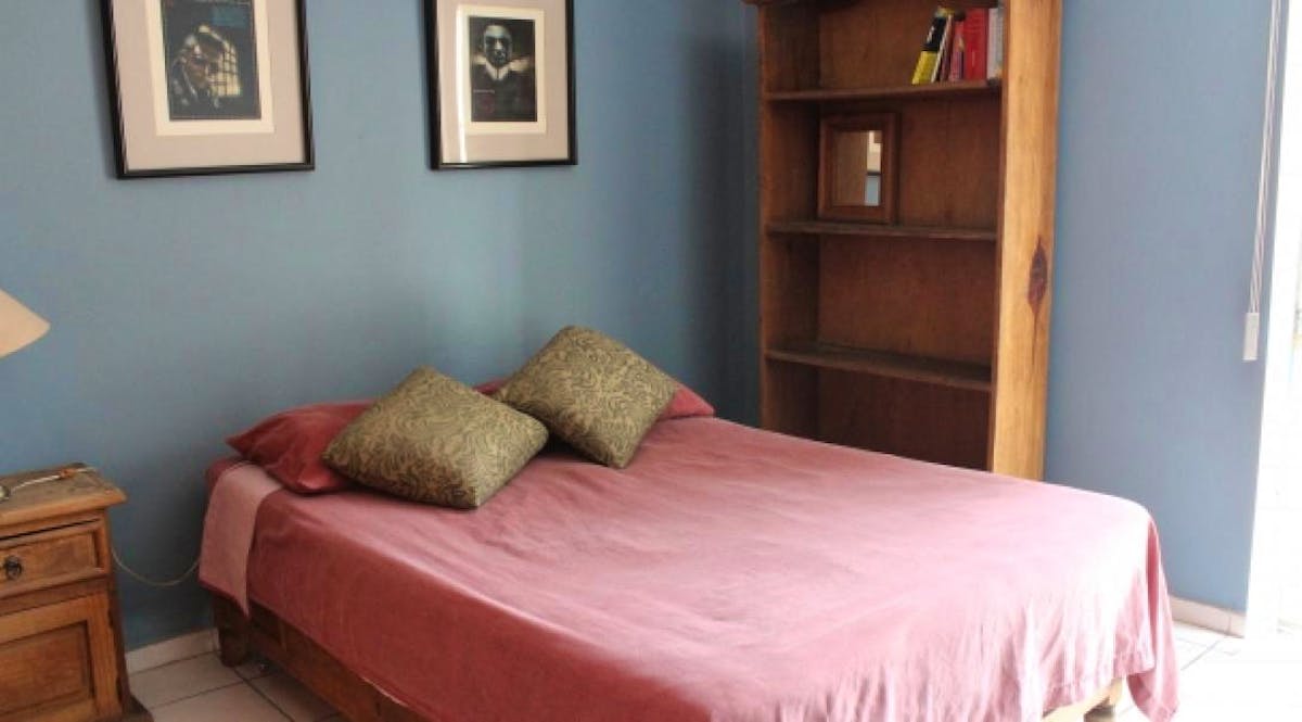 Sea Turtle & Coastal Conservation | Volunteer in Mexico 2025