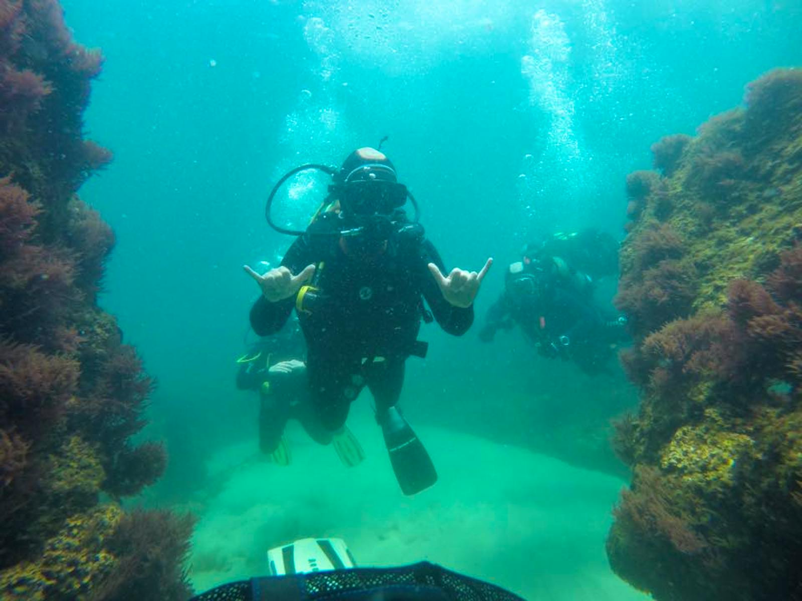 Environmental Scuba Diving Volunteer in Portugal 2024