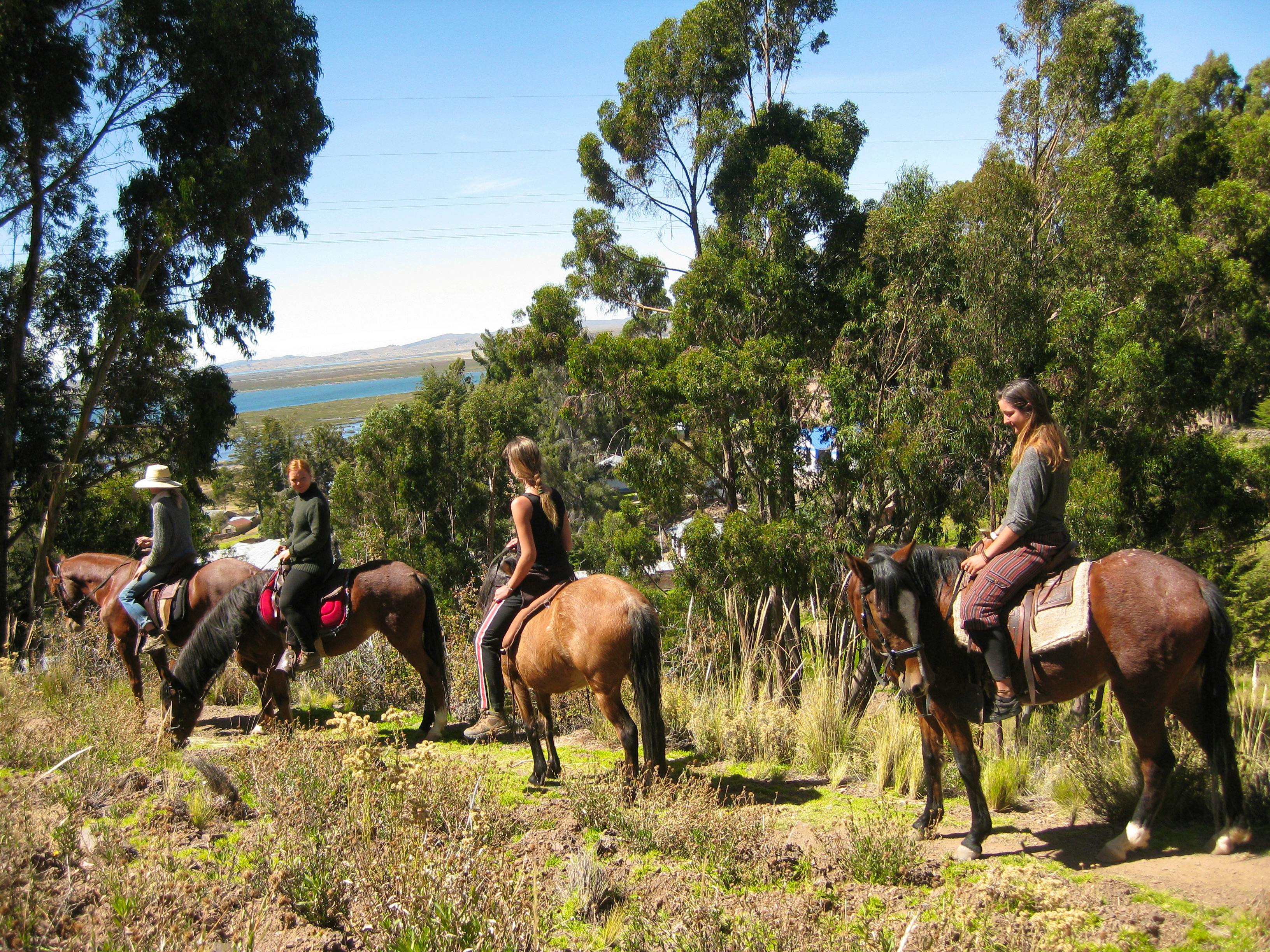 Horse Caretaker and Farm Maintenance Volunteer in Peru 2022