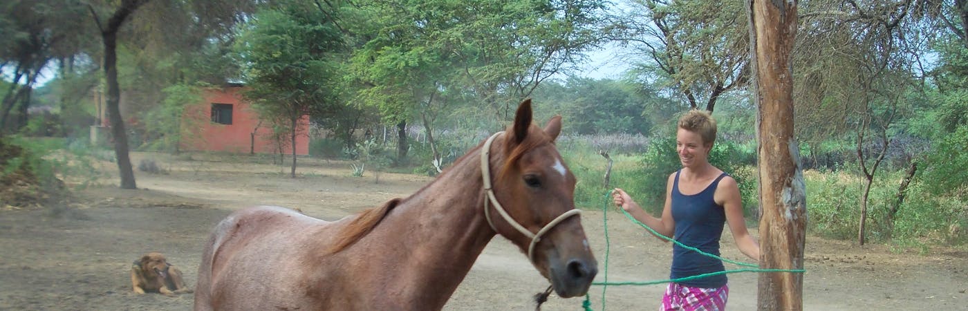 Horseback Riding Assistant