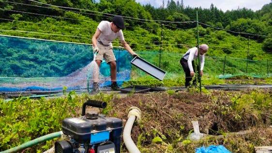 Volunteer in Eastern Asia Community Agriculture Enthusiast