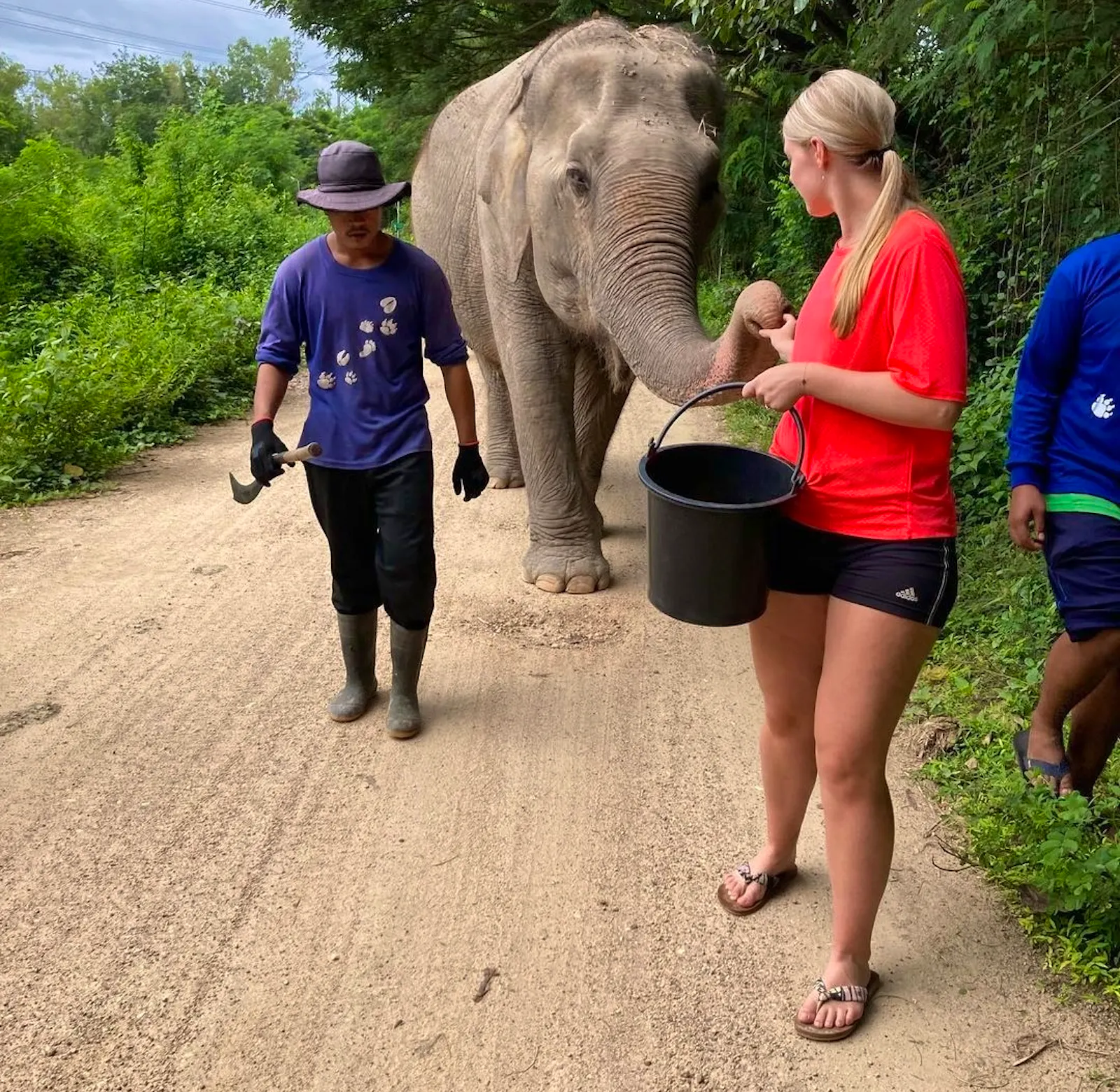Thailand Elephant Volunteers | Volunteer in Thailand 2025