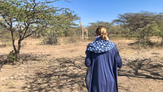 Vrijwilligerswerk in Kenia Wildlife Conservation & Tracking