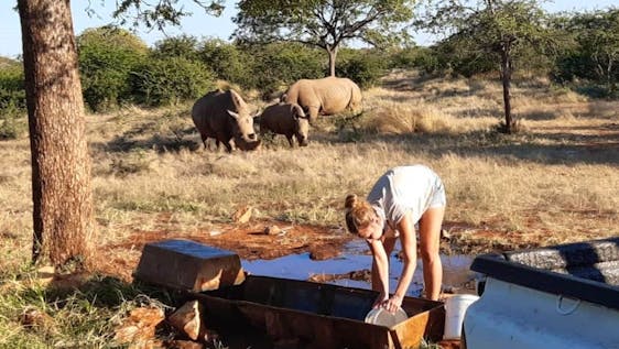 Our volunteers cleaning a rhino water trough