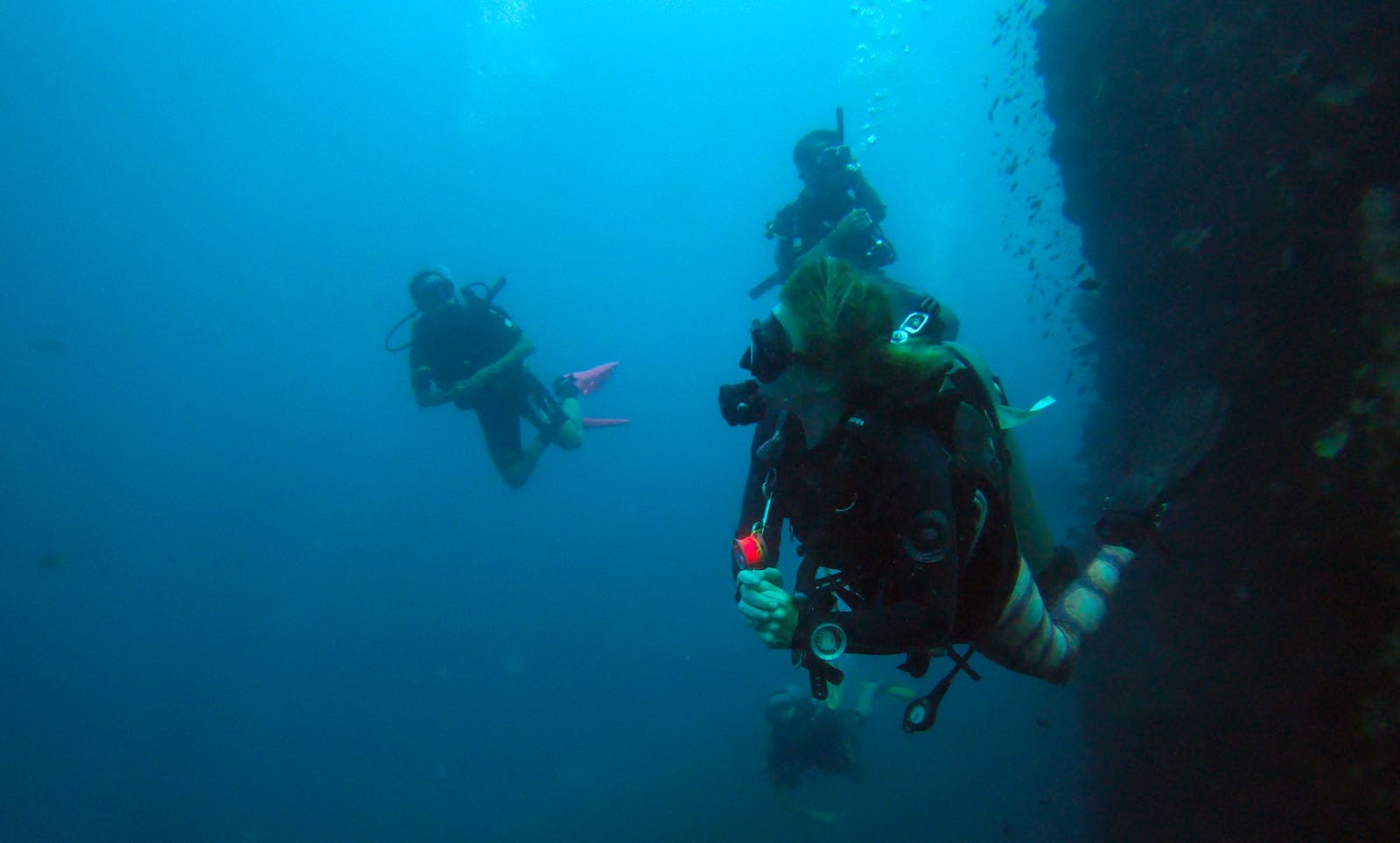 Marine Conservation Internships Volunteer in Thailand 2024