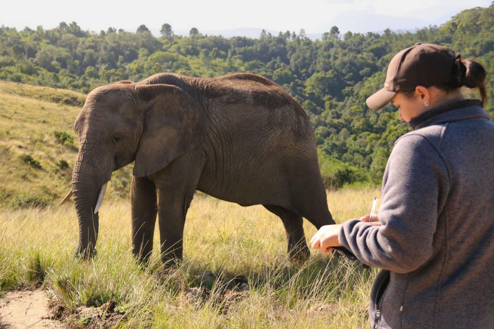 Our volunteer during daily observation