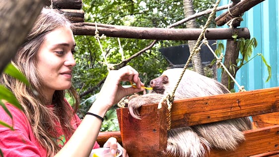 Mission humanitaire avec des singes Animal Keeper Assistant