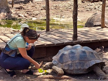  Environmental Conservation, Turtles and Community