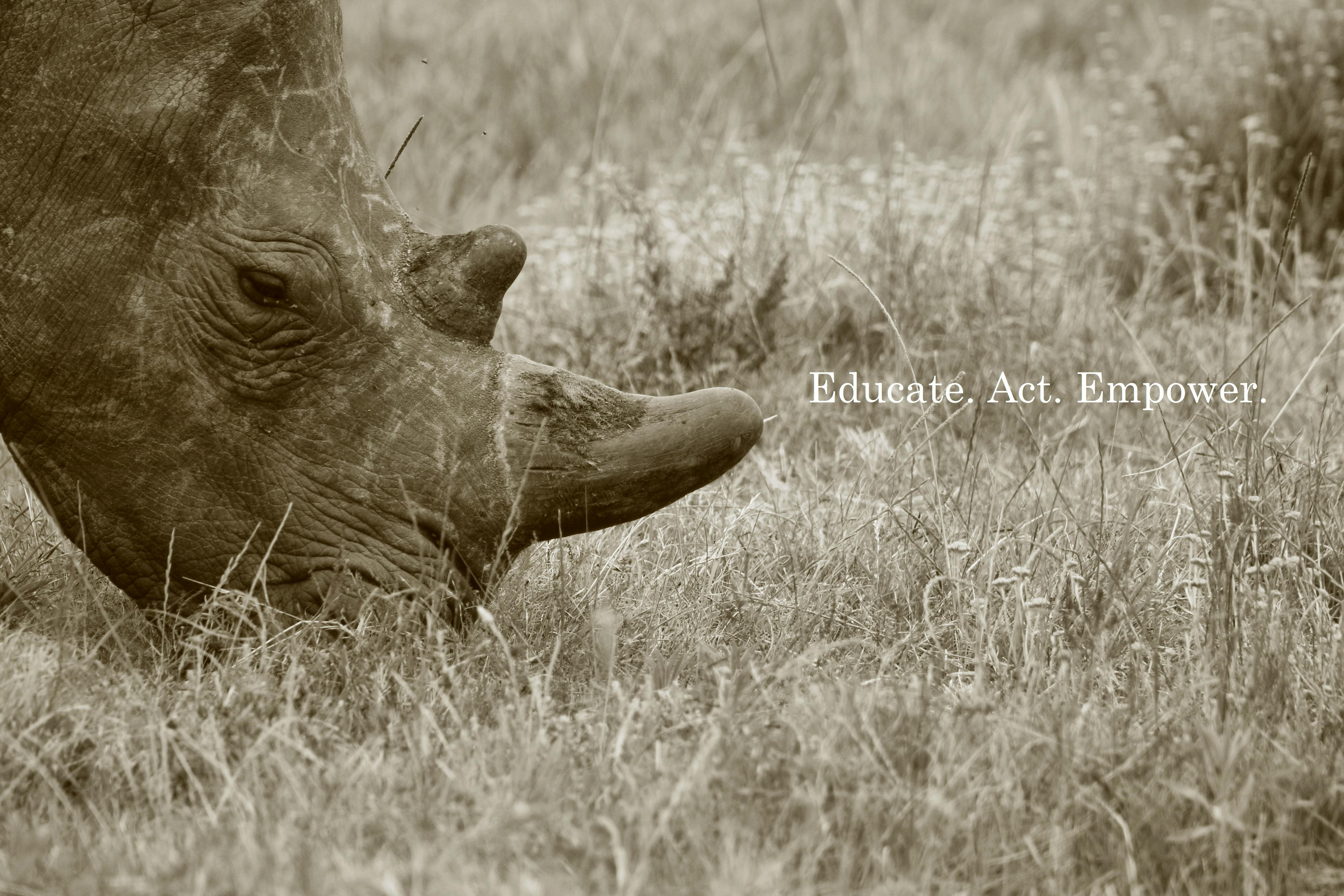 Wildlife Conservation And Research Volunteer In South Africa 2024   FB Cover 