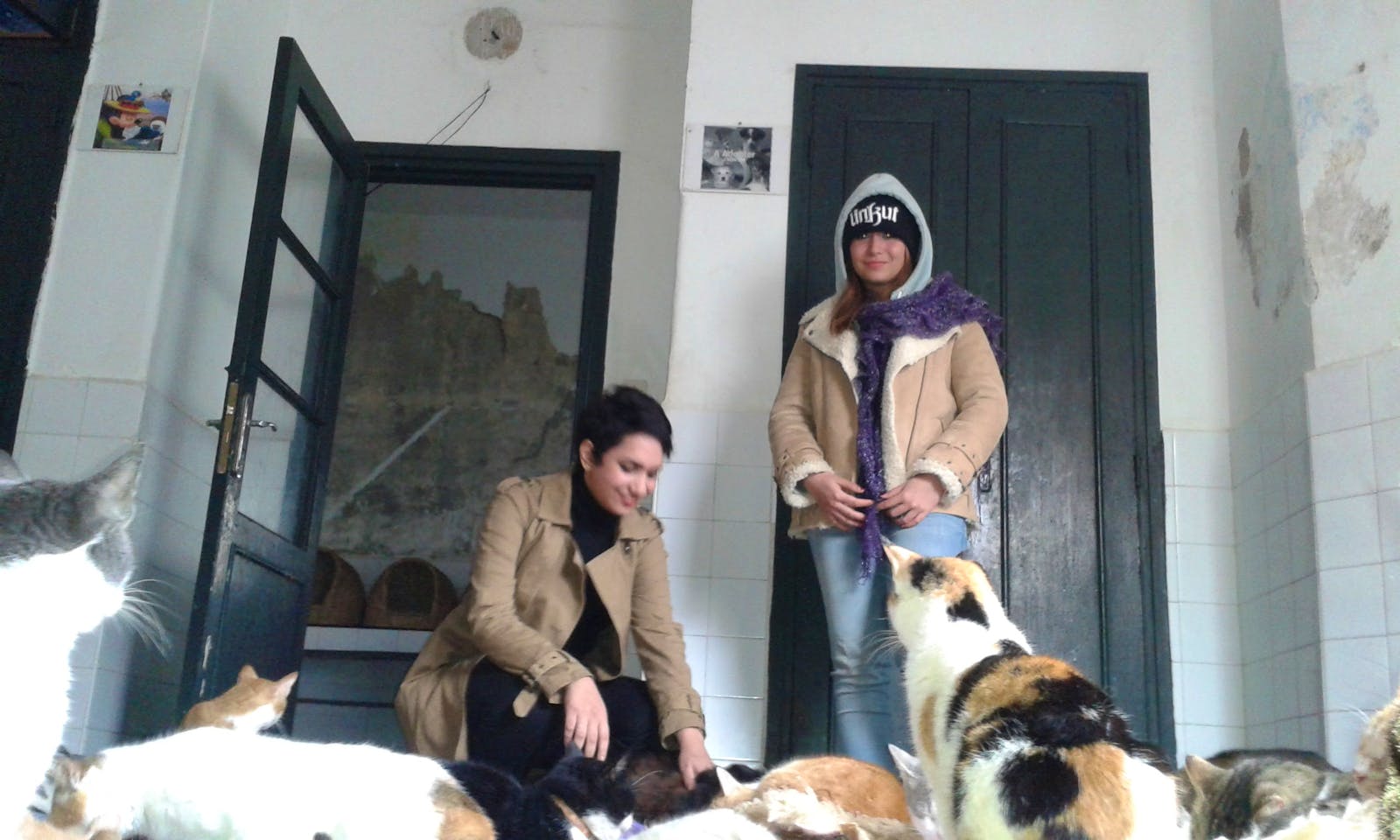 Animal Caretaker Assistant Fais du bénévolat en Maroc 2024