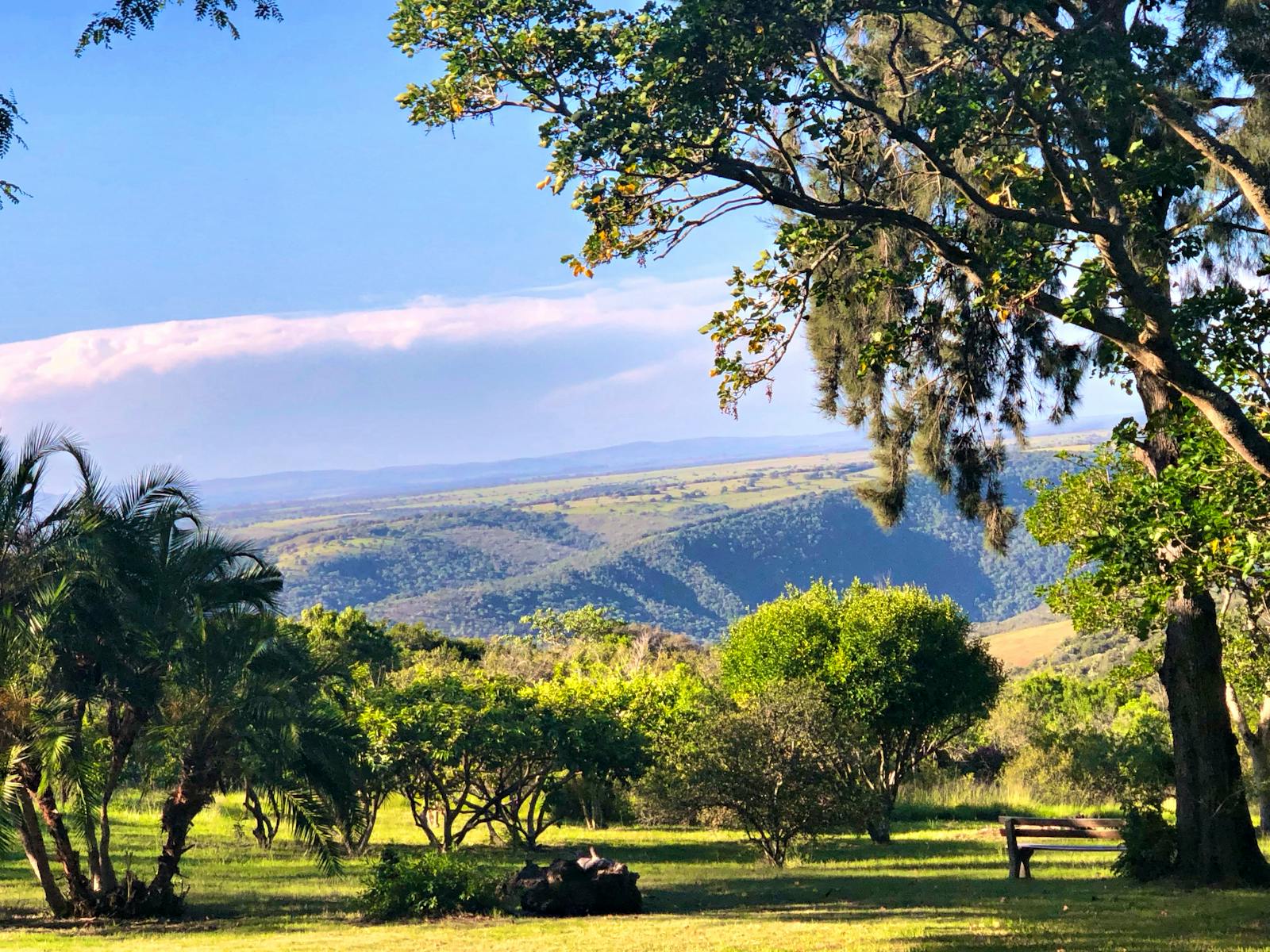 Eco Nature and Coastal Conservation | Volunteer in South Africa 2025