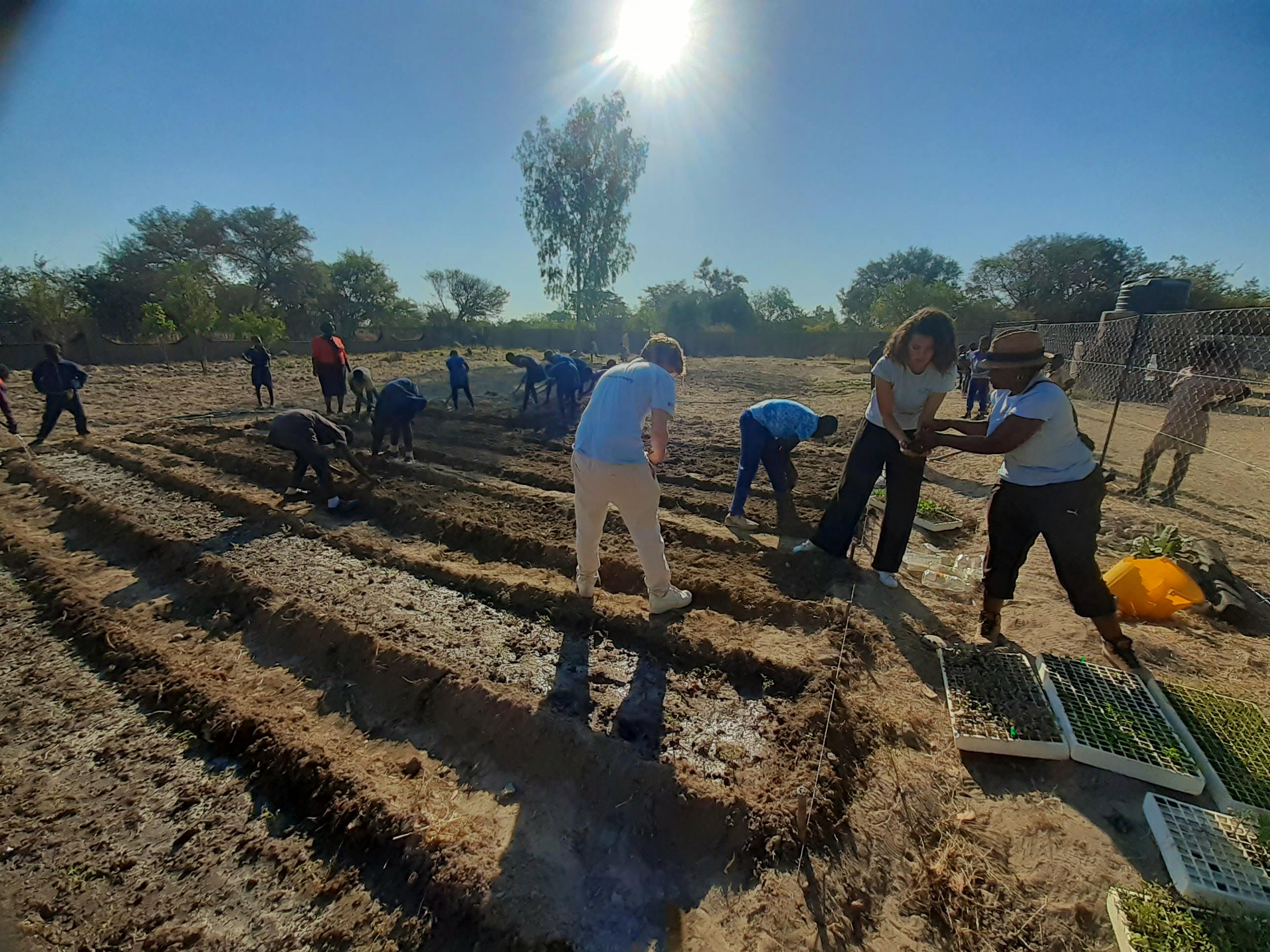 Working with local school children