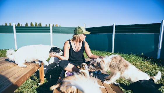 Voluntariado en Rumanía Caring with passion for dogs and animals