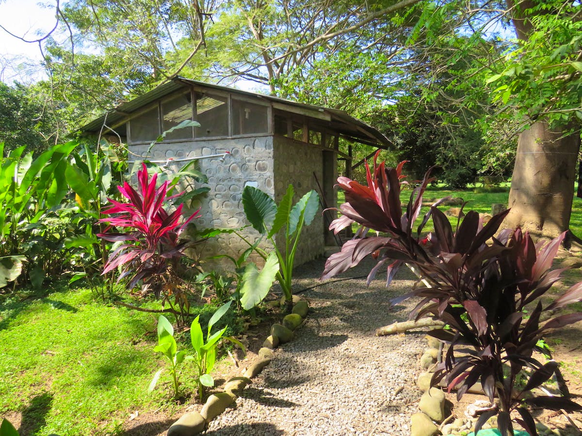 Wildlife Conservation Volunteer in Costa Rica Volunteer in Costa Rica