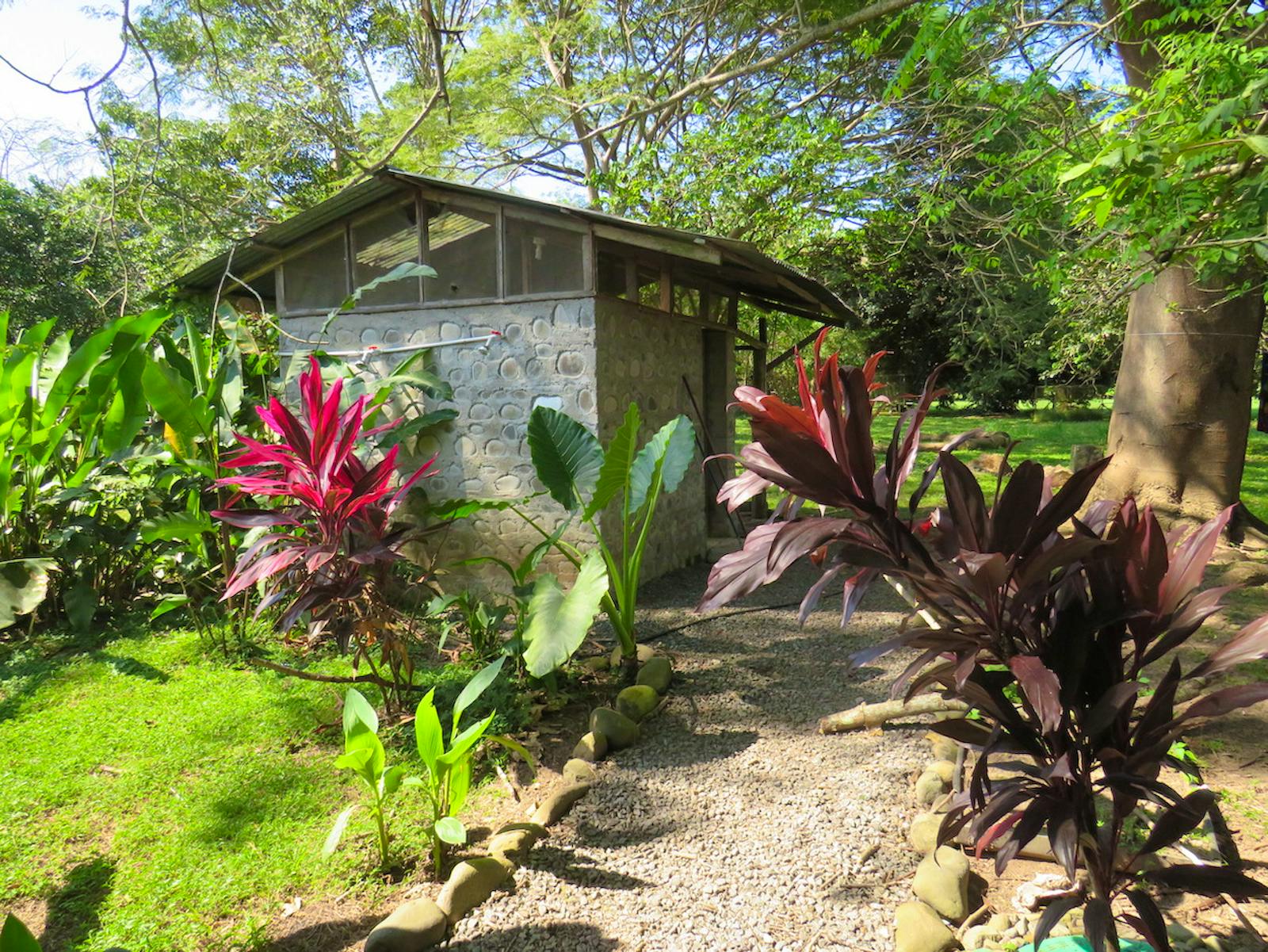 Wildlife Conservation Volunteer in Costa Rica Volunteer in Costa Rica
