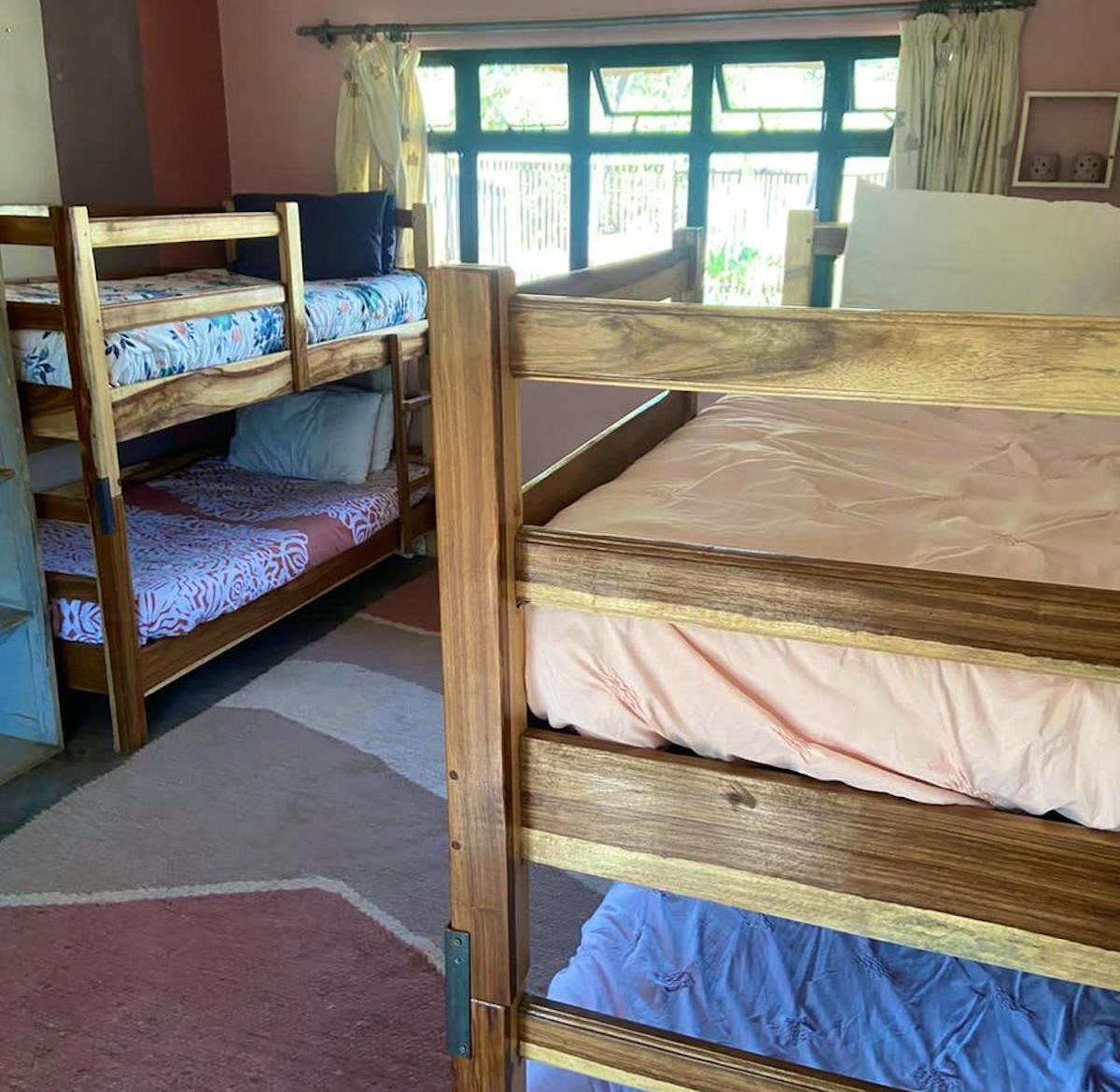 Primate Rescue and Rehabilitation | Volunteer in Zimbabwe 2025