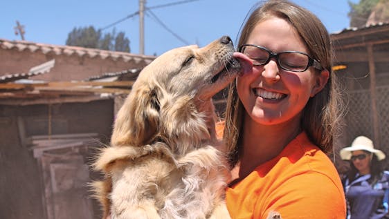 Vrijwilligerswerk programma's met honden Support Animal and Wildlife Rescue Centers
