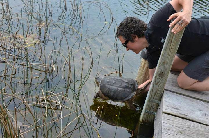 Rural Wildlife Caretaker Volunteer In Canada 2024   Ontario Rehab 2 