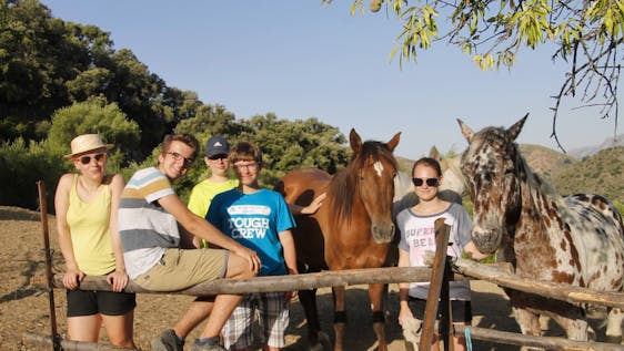 Vrijwilligerswerk in Spanje Horse Sanctuary Group Experience
