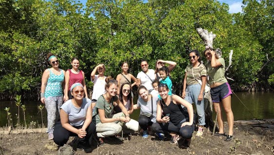 Voluntariado nas Filipinas Mangrove Environment Conservation