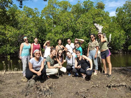  Mangrove Environment Conservation