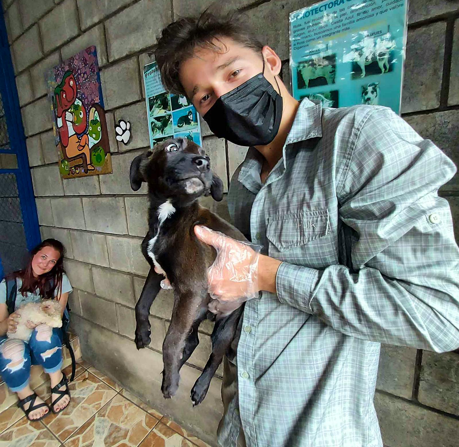 Animal Rehabilitation | Volunteer in Costa Rica 2024