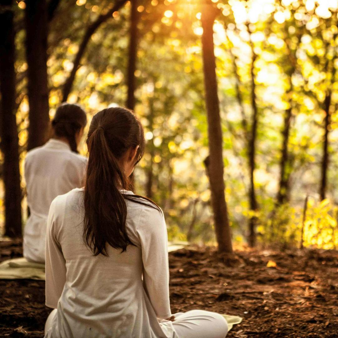 Volunteers working at our organic farm in Colombia