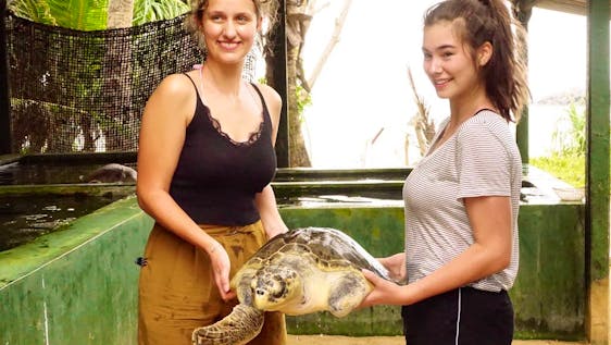 volunteers holding turtle