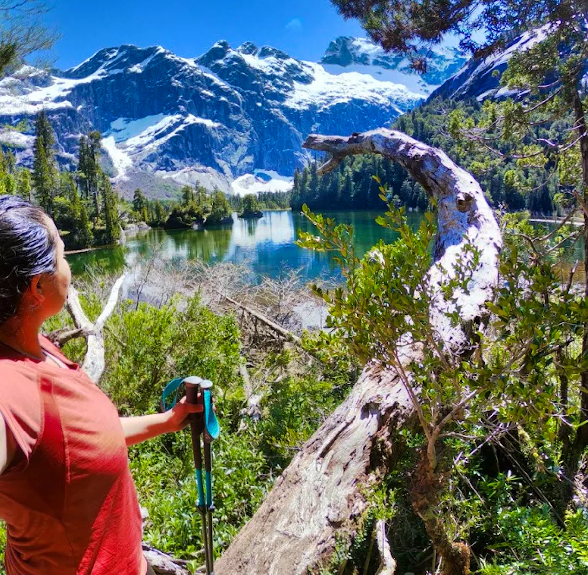 Nature Park Protector | Volunteer in Chile 2025