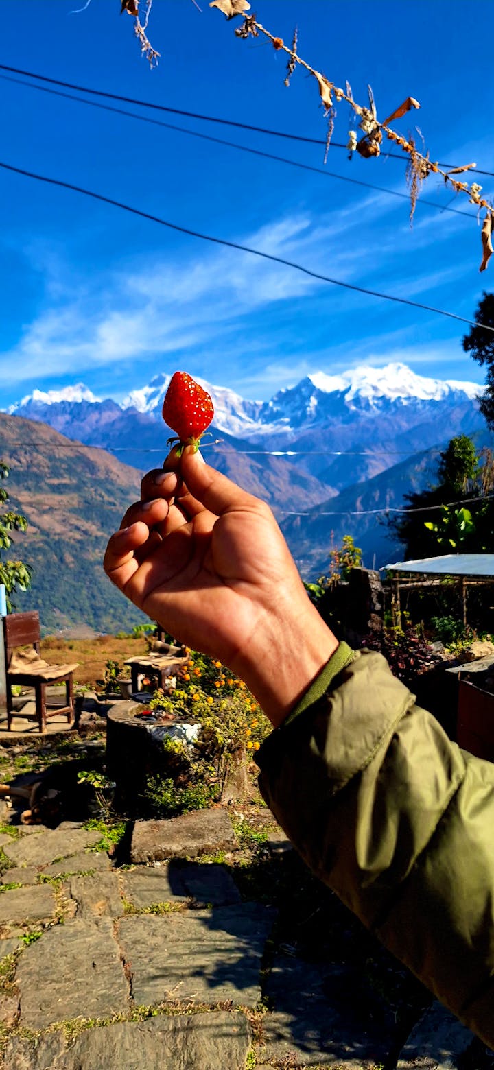 village-kindergarten-and-primary-school-supporter-volunteer-in-nepal-2025