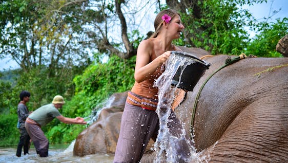 elephant bathing, Thailand, elephant sancturary
