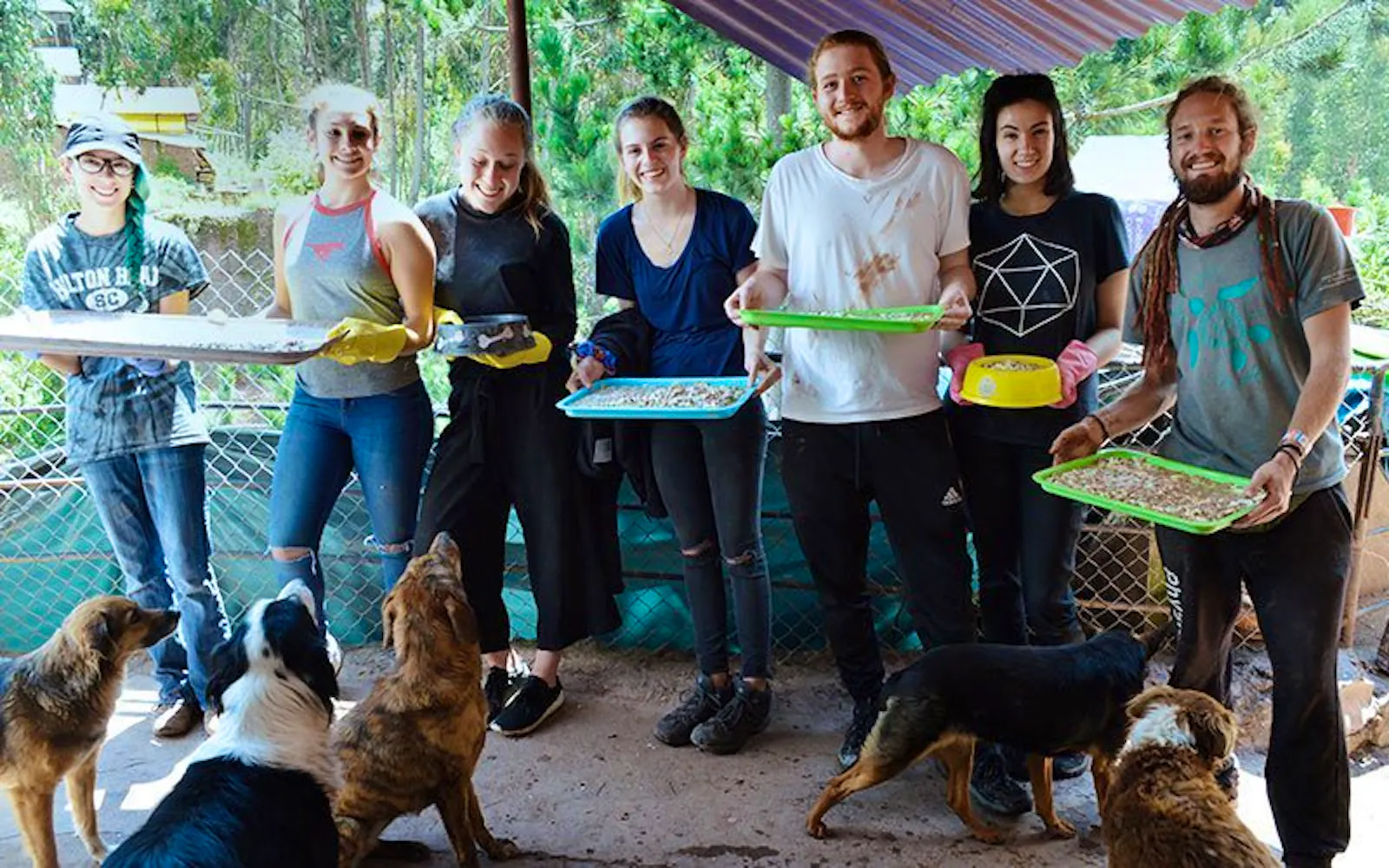 Help Local Animal Rescue Centers | Volunteer in Costa Rica 2025