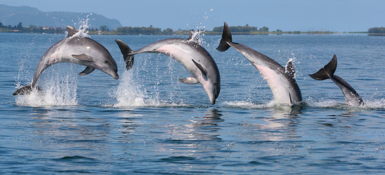 Join us in the field and share with us an amazing experience