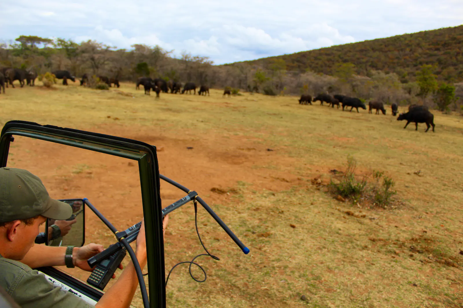 Picture of Endangered Species Conservation & Research | Volunteer in South Africa 2025
