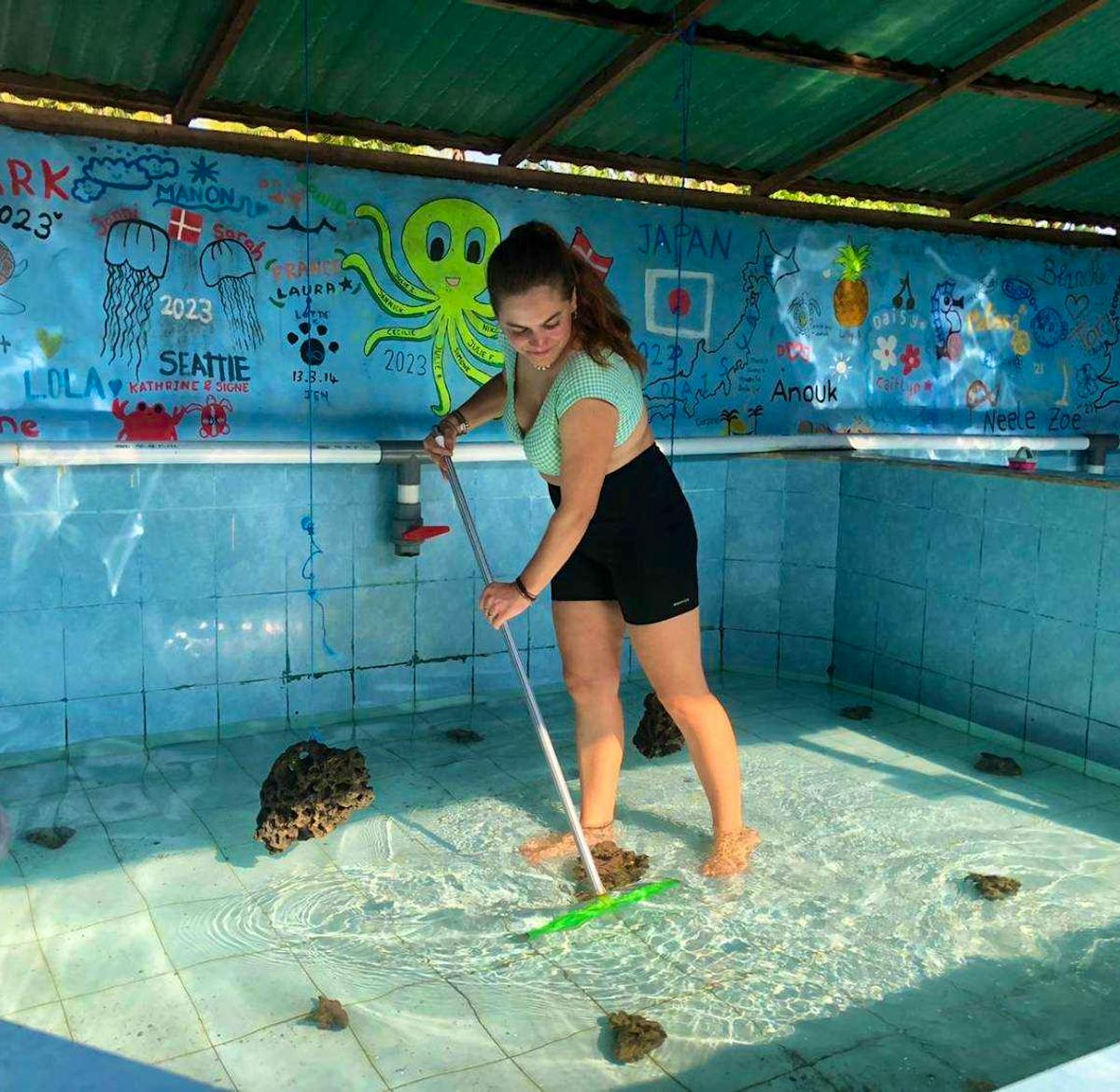Turtle Conservation Assistance | Volunteer in Indonesia 2025