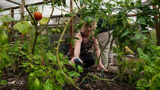  Sustainable Farming & Urban Agriculture