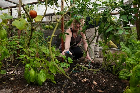  Sustainable Farming & Urban Agriculture