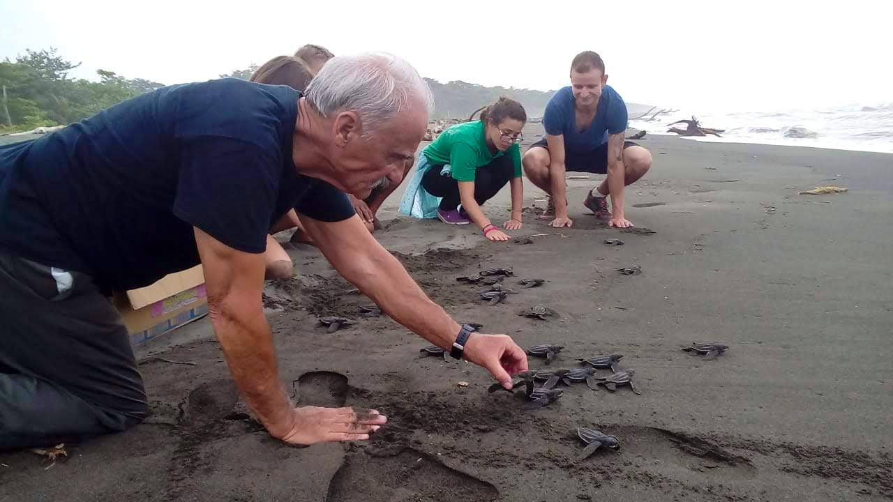 Help babies like this one reach adulthood and avoid extinction. 