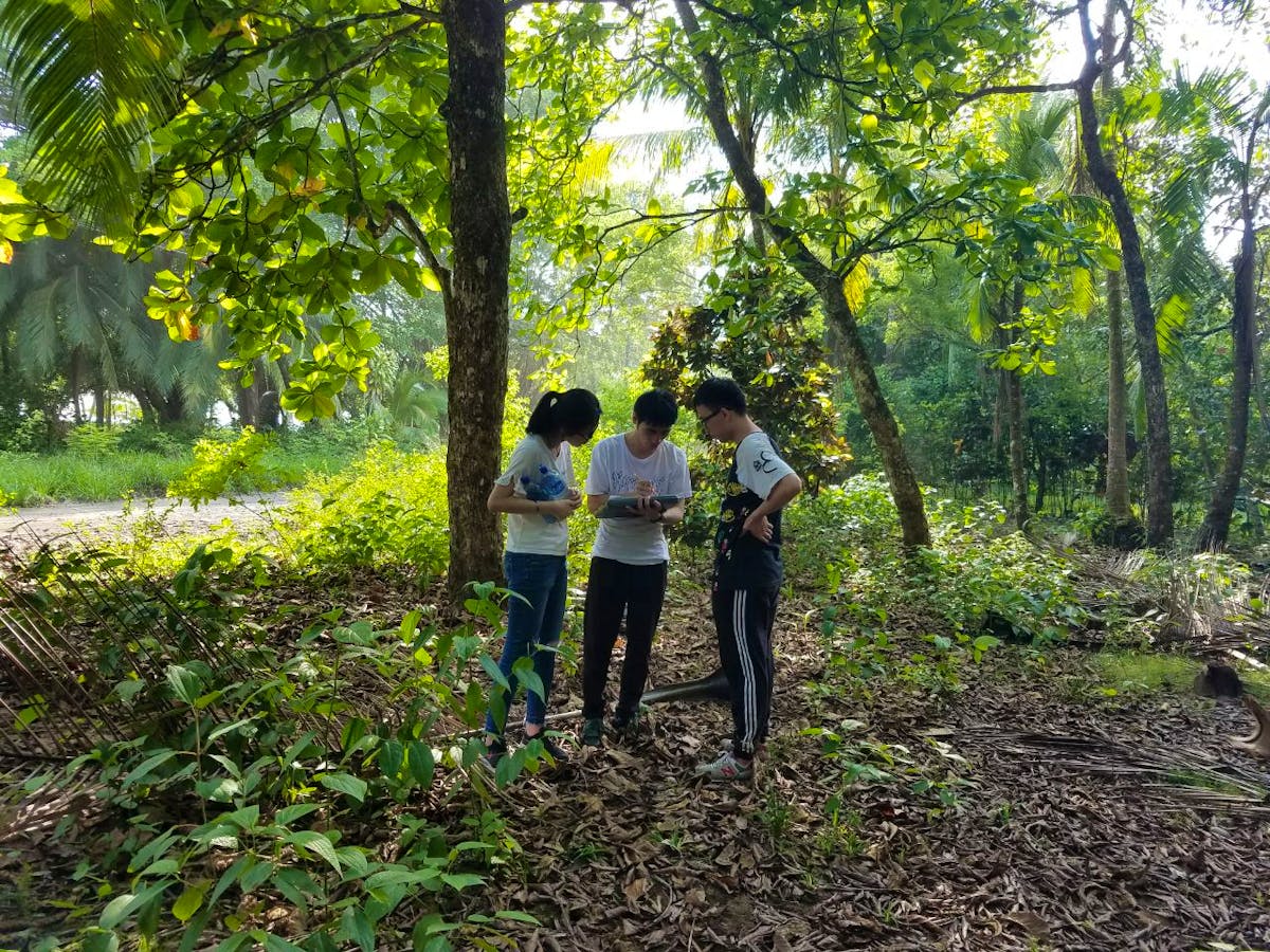 Wildlife Conservation and Surfing Volunteer in Costa Rica 2024