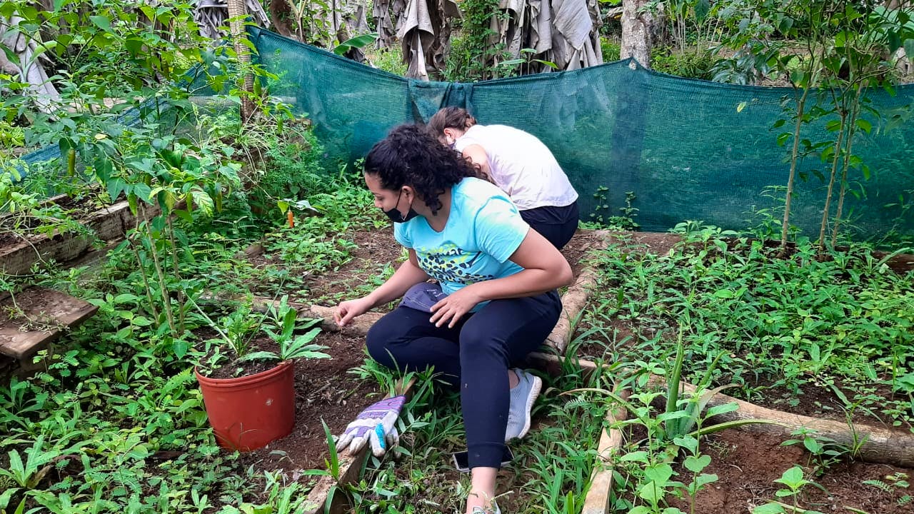 Volunteers in action