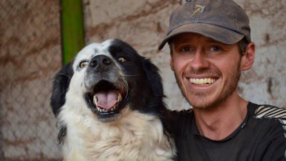 Volunteer in Machu Picchu Stray Dog Rehabilitation