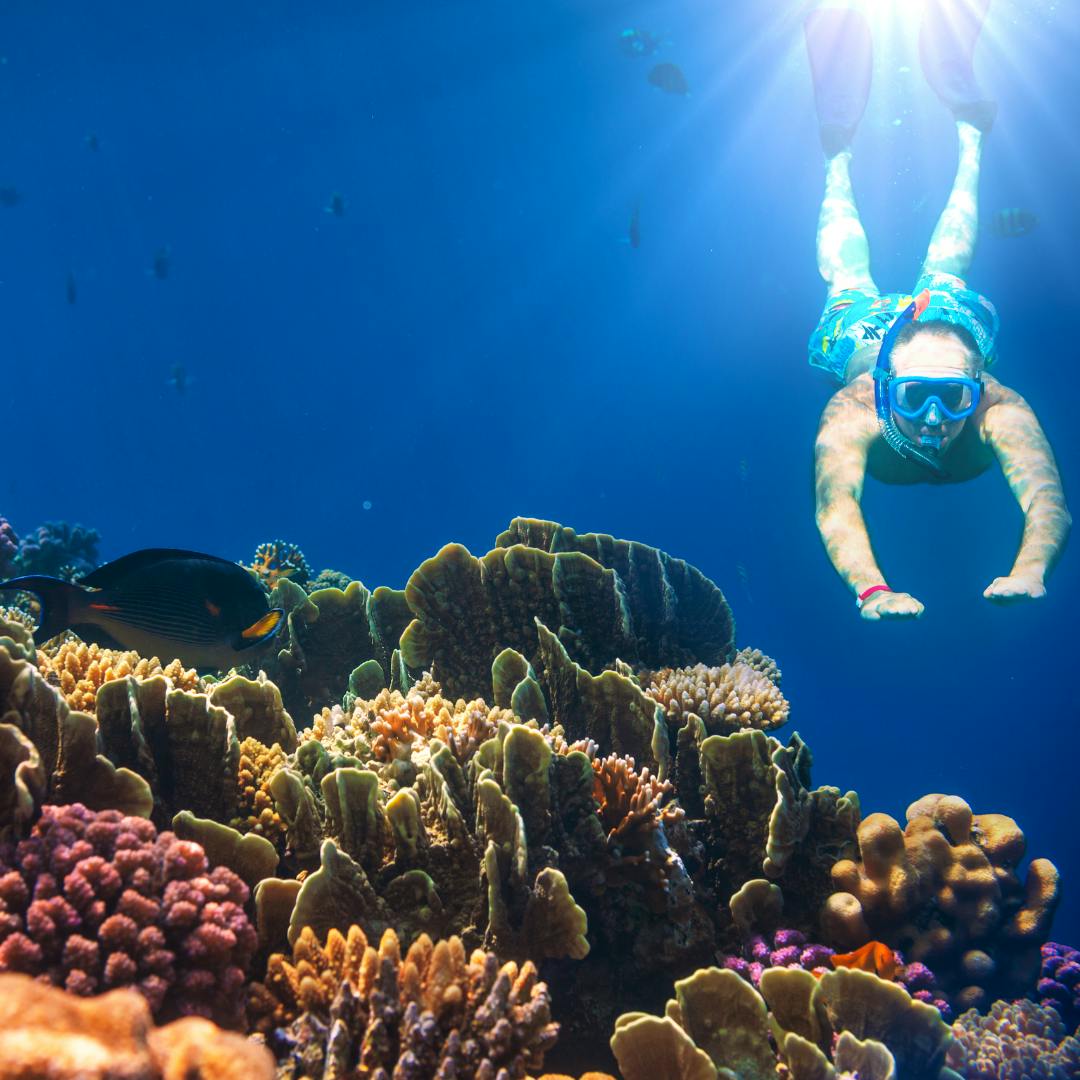 Marine conservation volunteers in Australia