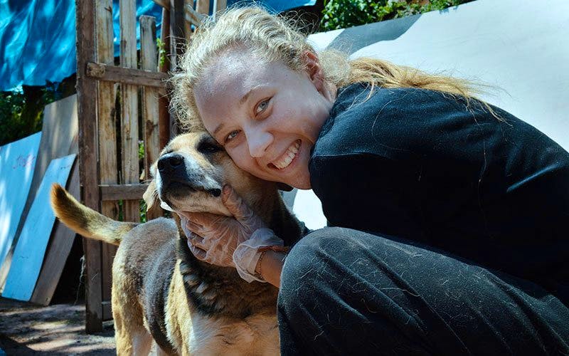 Help Local Animal Rescue Centers Volunteer In Costa Rica 2024   Animal Care Dog Shelter Volunteer Abroad 10 