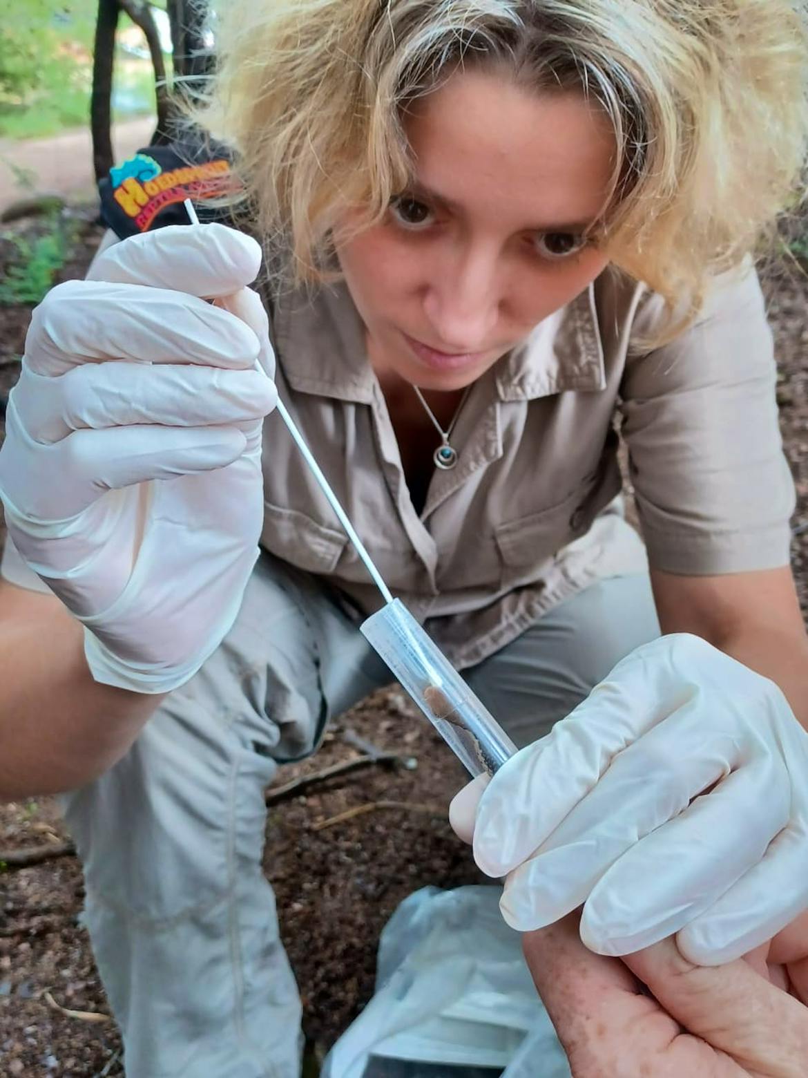 Reptile Vet Sanctuary | Volunteer in South Africa 2024